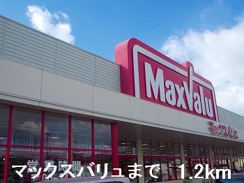 マックスバリュまで1200m