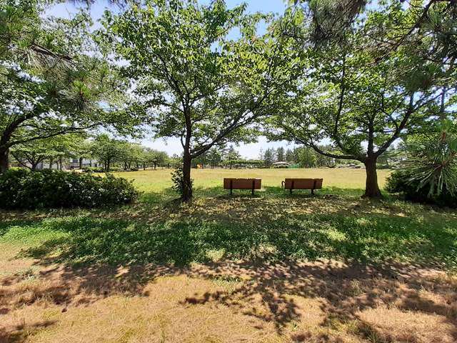 牛海道中央公園まで90m
