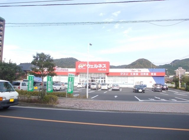 ウェルネス 大田中央店まで550m