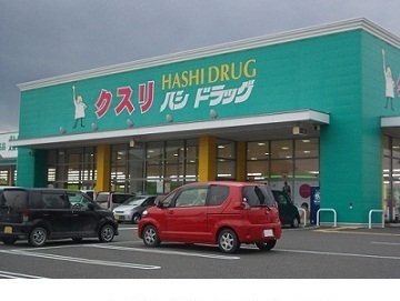 ハシドラッグ南福島店まで450m