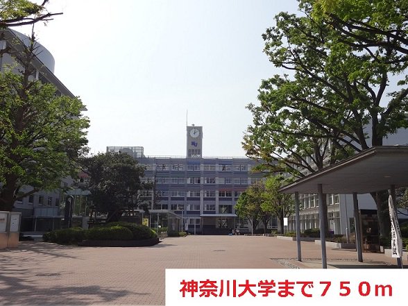 神奈川大学まで750m