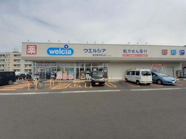 ウエルシア新潟東中野山店まで371m