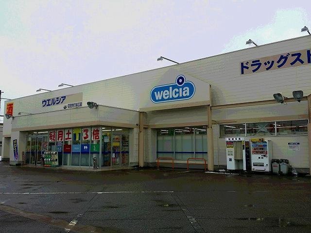 ウエルシア高岡井口本江店まで1200m