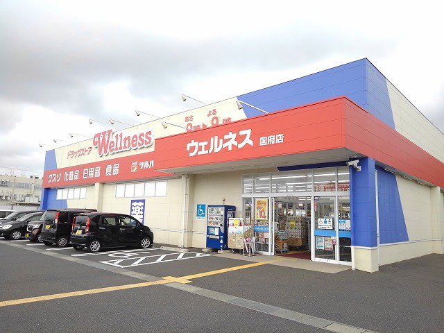 ウェルネス国府店まで700m