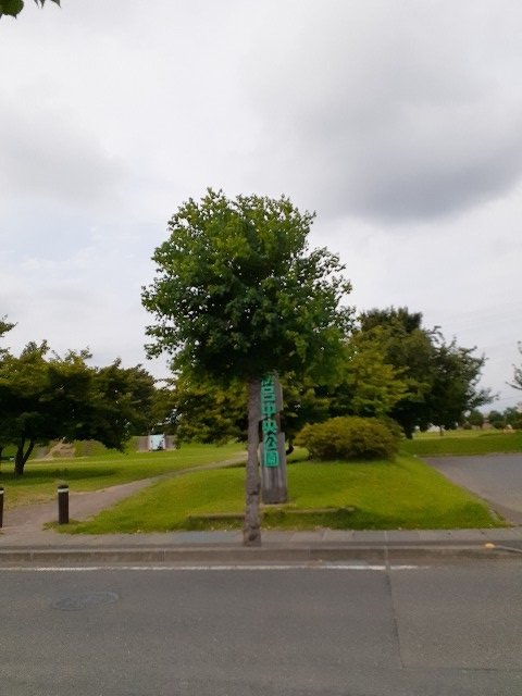 茂呂中央公園まで350m