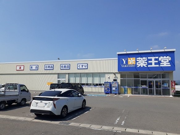 薬王堂　酒田平田店まで99m