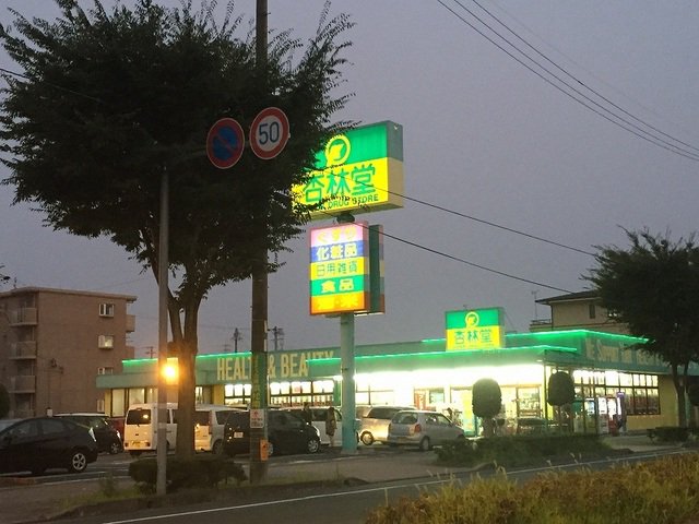 杏林堂向宿店まで500m