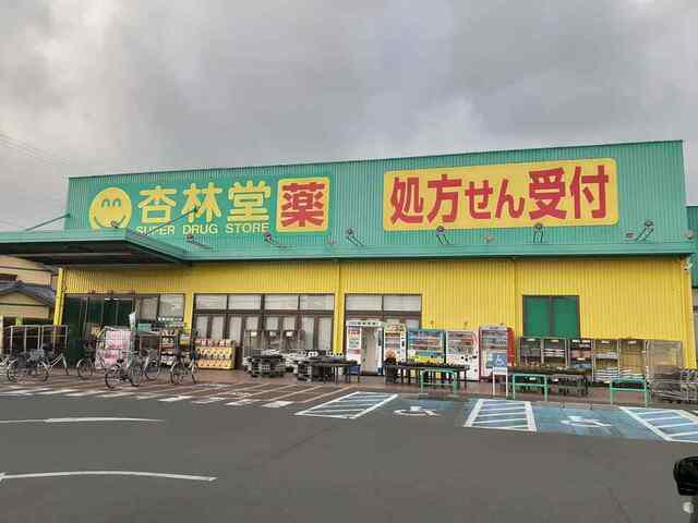 杏林堂　ドラッグストア西鹿島駅まで800m