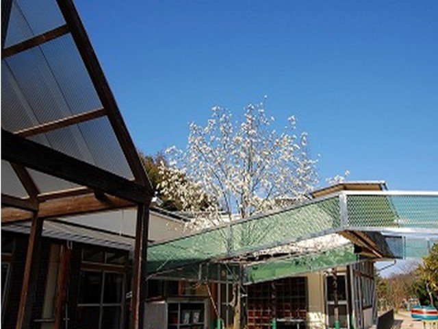 中山保育園まで240m