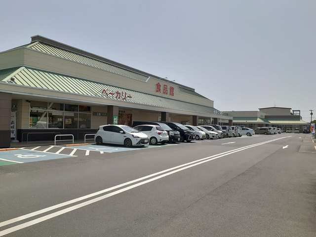 フジ宿毛店まで1100m