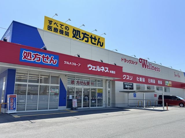 ドラッグストアウェルネス米原店まで650m