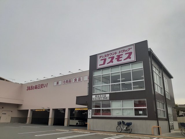コスモスまで1216m