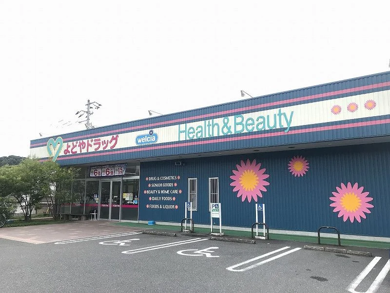 よどやドラッグ高知一宮店まで800m(徒歩10分)