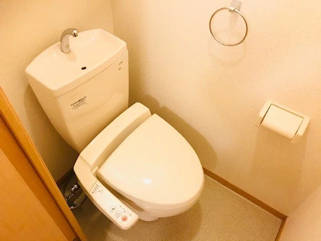温水洗浄便座