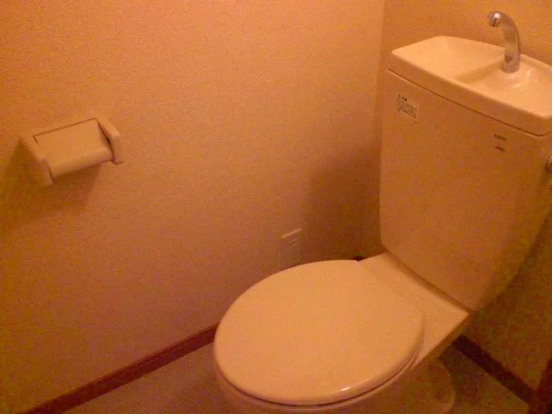 トイレはもちろんバスと別です。