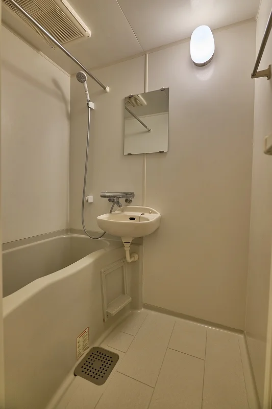 同タイプの写真となります