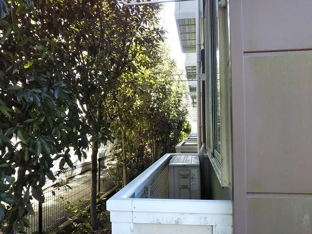 窓先