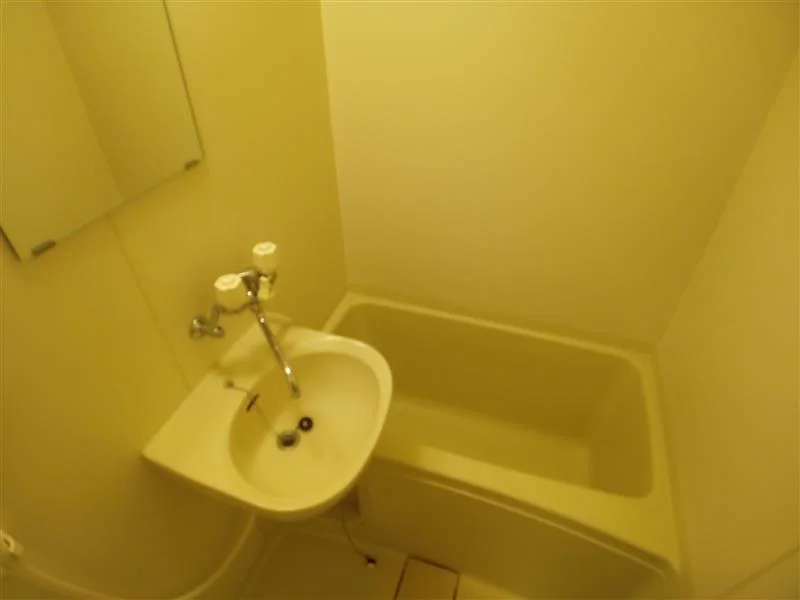 ※写真と現状が異なる場合は現状を優先