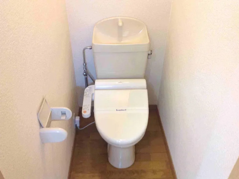 同タイプの写真となります