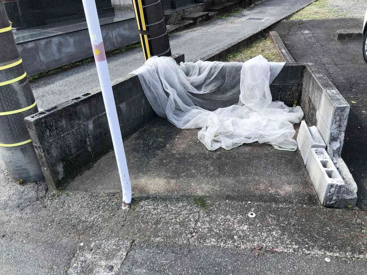 写真と現状が異なる場合は現状を優先します。