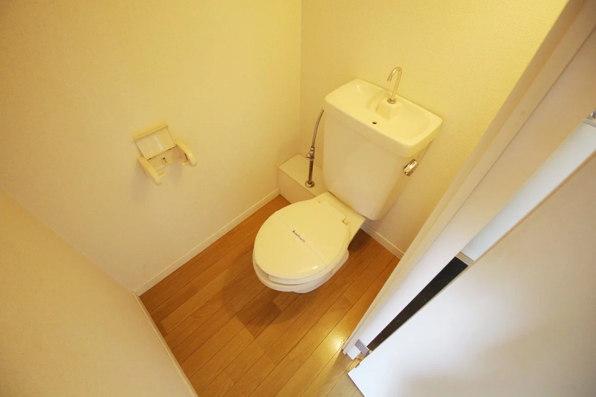 セパレートタイプの水洗トイレです。