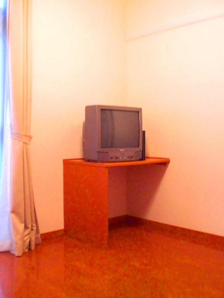 全室地デジ対応テレビです。