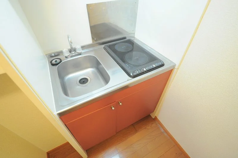 電熱タイプのコンロが２口