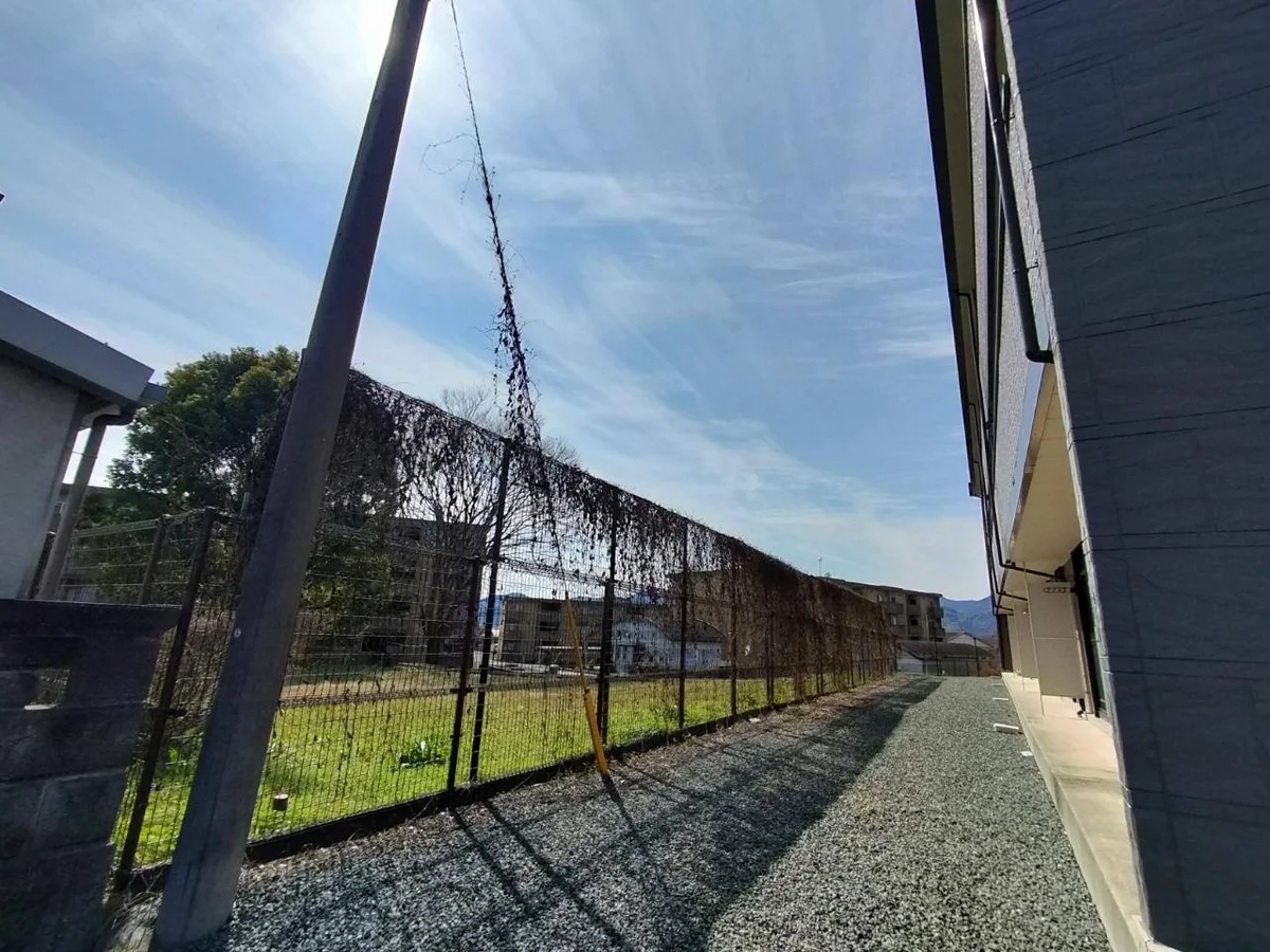 写真と現状が異なる場合は現状を優先します。