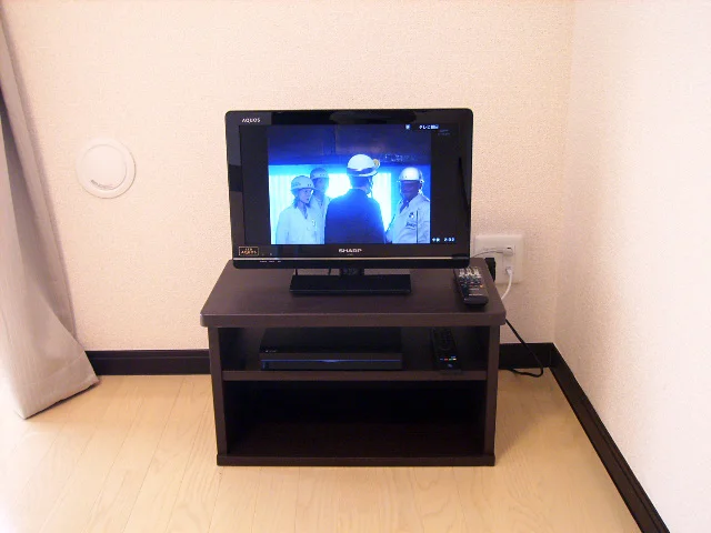 液晶TVでLEONETを楽しもう