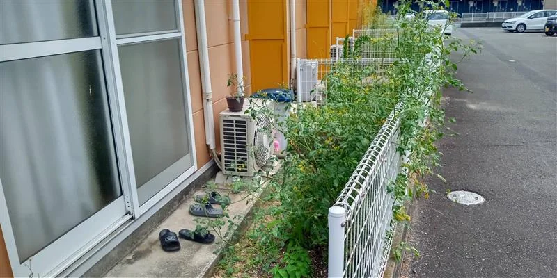 ※写真と現状が異なる場合は現状を優先