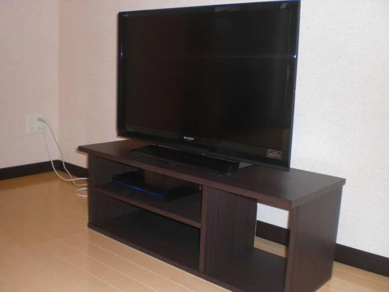 テレビは32型薄型液晶です。