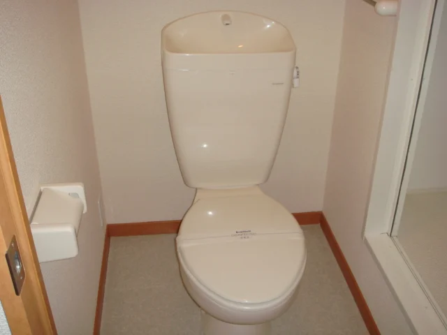 トイレはタオルハンガー、棚付き。