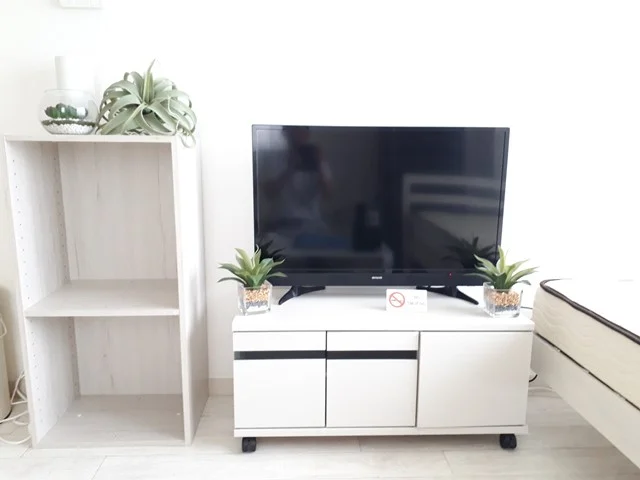 テレビ