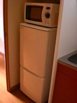 キッチンには、冷蔵庫と電子レンジがつきます