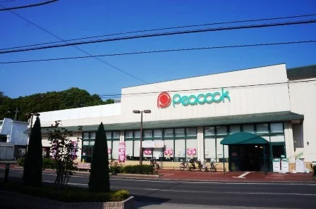 最寄のスーパーマーケットまで70Ｍ、徒歩約1分