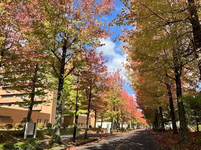 広島大学まで車で６分