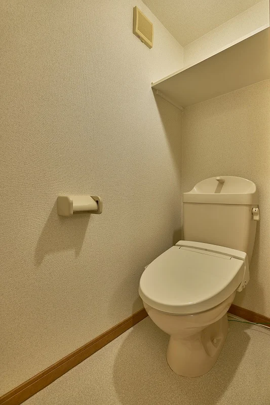 同タイプの写真となります