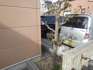 物件前にあり