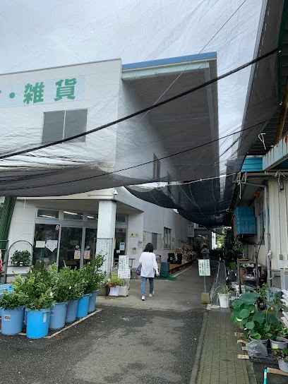 食品スーパーフナツまで徒歩9分
