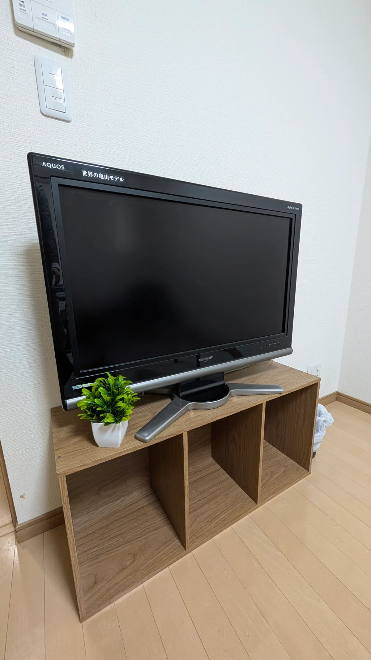 テレビもついております♪