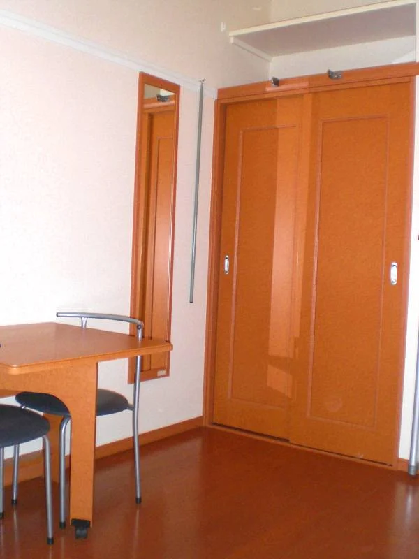 ポール付クローゼットなので大切なお洋服も皺になりません。