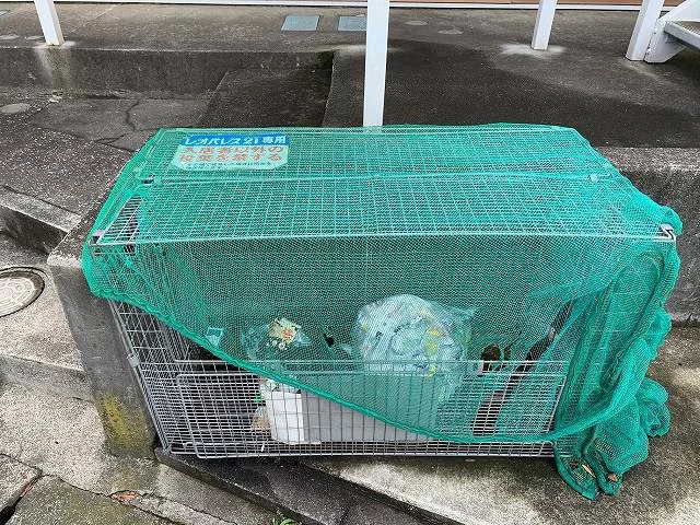 ゴミ置き場