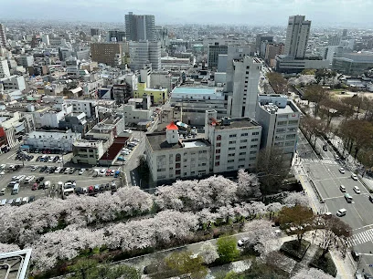 富山市役所まで徒歩5分