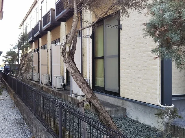 窓先