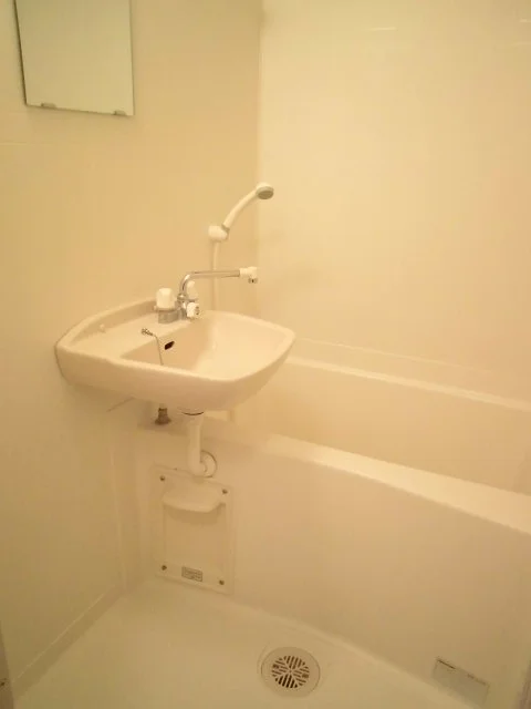 ユニットバスタイプ