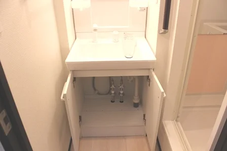 独立洗面台下収納あります。