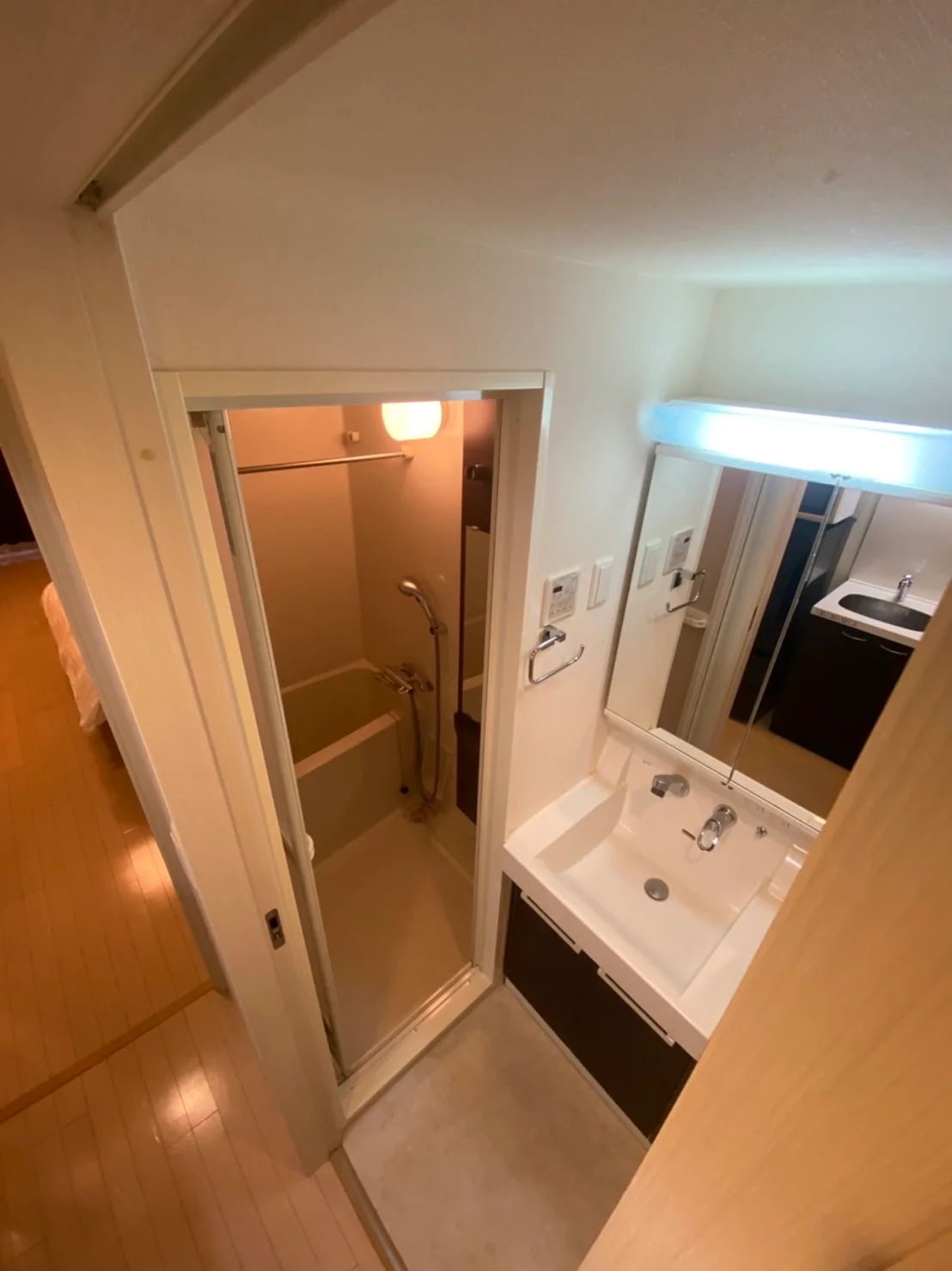 反転タイプの写真です。