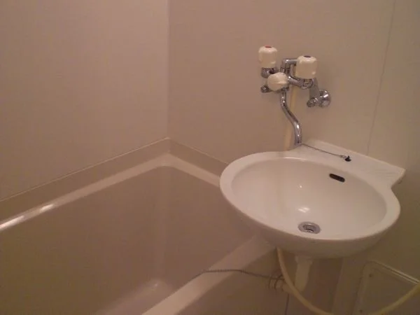 洗面台・鏡あり