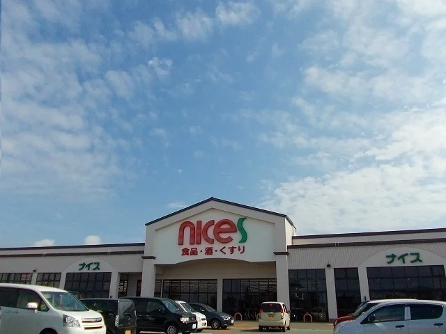 ナイス　仁井田南店まで1230m
