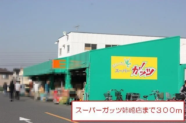 スーパーガッツ姉崎店まで300m